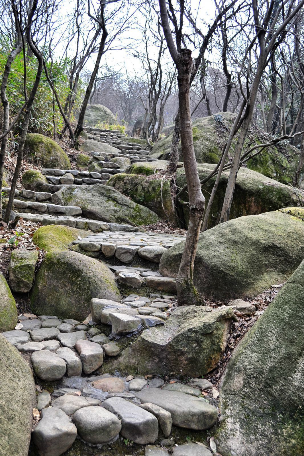 宁波慈溪五磊山