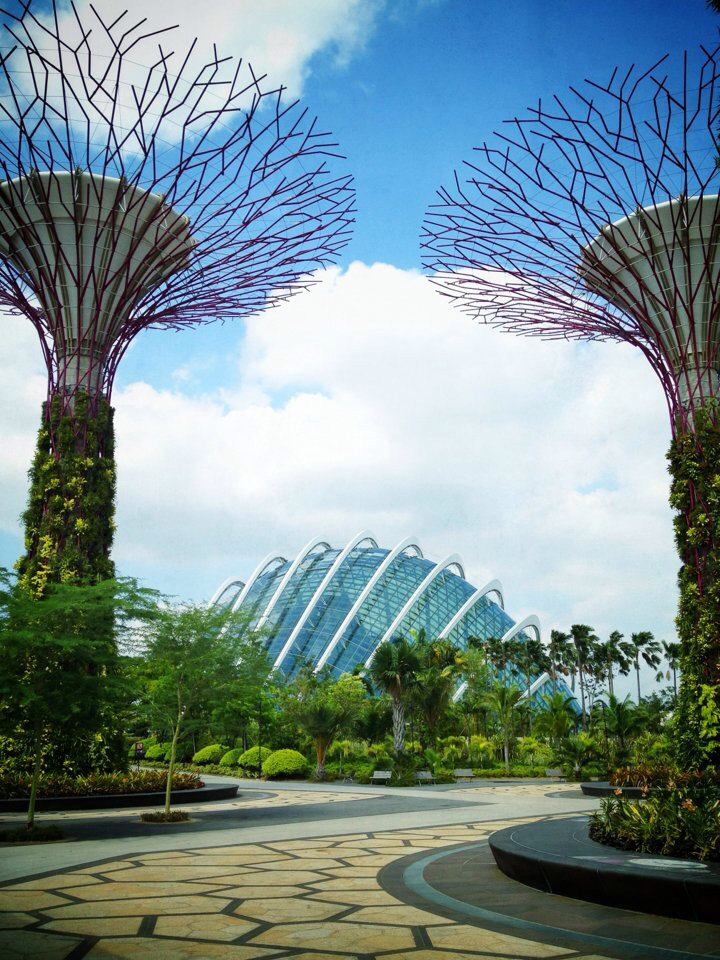 新加坡植物园