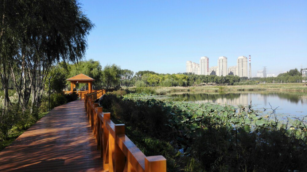 长春市湿地园 净月潭