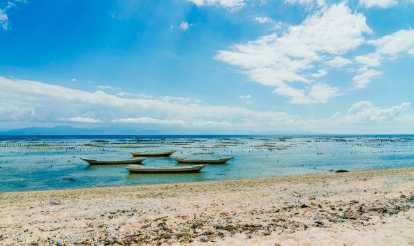 <p>蓝梦岛面积不大，但是在这里你可以尽情冲浪、潜水、享受海滩上壮观无比的日落绝景，也可以徒步或骑自行车环绕小岛一周，深入到偏远的农村去体验生活。</p>
<p>蓝梦岛位于巴厘岛的东南边，这里的海水清澈无比，水下生物清晰可见，因此也被称为&ldquo;玻璃海&rdquo;。岛上居民多以种植海藻为生，因此这里也是巴厘岛的海藻养殖基地。</p>
<p><strong>Jungutbatu海滩</strong></p>
<p>岛上最受游客追捧的景点莫过于<a href="http://you.ctrip.com/sight/bali438/136837.html">Jungutbatu海滩</a>了，它位于蓝梦岛的西北边，游船一般都会到此停靠。可爱的弧形白沙滩与清澈碧蓝的海水构成一幅令人陶醉的画卷，你还可以远眺巴厘岛上的<a href="http://you.ctrip.com/sight/bali438/107596.html">阿贡火山</a>。这里的海堤漫步道是散步的好去处，尤其在傍晚时分会欣赏到绝美的日落美景。</p>
<p>Jungutbatu海滩一带聚集了众多旅馆和便宜的餐厅，是无数背包客和冲浪者的最爱。到附近的小村庄去转转，可以看到许多生产海藻的地方。如果你对海藻感兴趣，不妨在清晨或午后2-3点左右到海边去，常能看到当地居民种植海藻的过程。</p>
<p><strong>蘑菇海湾上的香蕉船、帆伞</strong></p>
<p>从Jungutbatu海滩南端沿着海岸线步行在似有似无的小路上，约1公里左右就到了<a href="http://you.ctrip.com/sight/bali438/139231.html">蘑菇海湾</a>，你也可以搭小船过来。白天的香蕉船、帆伞等水上活动令蘑菇海湾十分热闹。再往南面的小路走下去，你会看见一条约150米长的新月形白沙滩，那便是<a href="http://you.ctrip.com/sight/bali438/107602.html">梦幻海滩</a>，有着澎湃的海浪，你可以坐在小摊位上一边喝啤酒一边欣赏日落。</p>
<p>继续往蓝梦岛的南边去，到达兰彭坎村（Lembongan），与<a href="http://you.ctrip.com/sight/bali438/107603.html">金银岛</a>之间隔着一条海峡，布满了海藻养殖场。在那里，可以通过吊桥直接前往金银岛，或者沿着铺砌大路一侧平缓的小路上山，再一路下山回到Jungutbatu一带。</p>
<p>蓝梦岛北部生长在水中的红树林也是不容错过的地方，一日游行程大多都包含这个景点，自己前往的话则需要租一条小船。</p>
<p><strong>冲浪、浮潜</strong></p>
<p>如果你是冲浪爱好者，4月-9月的旱季是到蓝梦岛的最佳时节，岛上有多处冲浪点，但并不适合初学者。岛上很多地方都有水上运动的用具出租，冲浪板的租金约5万卢比/天。蓝梦岛周围也有一些不错的浮潜点，如蘑菇海湾不远处、Jungutbatu海滩附近的Bounty浮筒旁及岛屿北部海岸周围，租一条小船的费用约15万卢比/小时。</p>
<p><strong>蓝梦岛上的度假村、餐厅</strong></p>
<p>若想在蓝梦岛多待几天，在Jungutbatu海滩或蘑菇海湾一带都可以找到便宜的旅馆或豪华度假村，而岛上的餐厅也集中在这些景点处。</p>