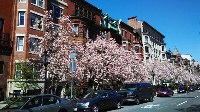 纽伯里街 newbury street