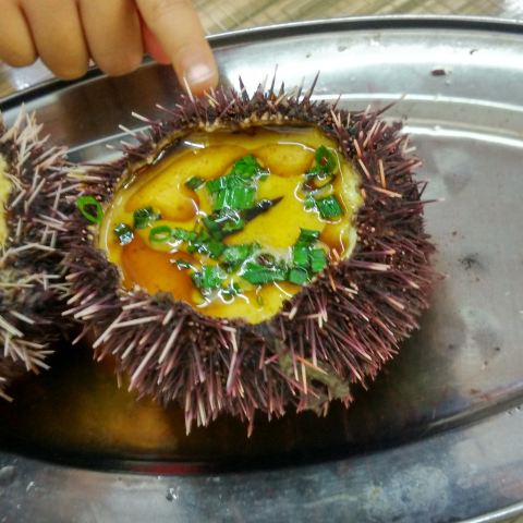 海胆炖蛋
