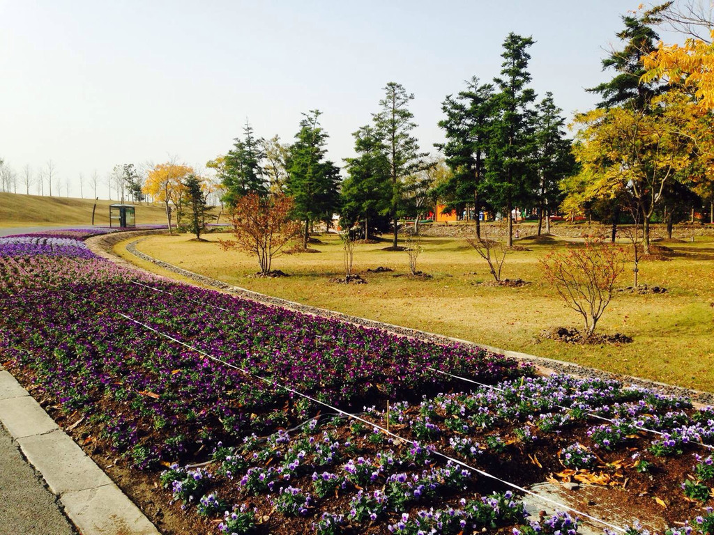 上海辰山植物园
