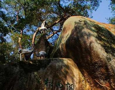 到过青田太鹤山,自此不羡鸳鸯不羡仙