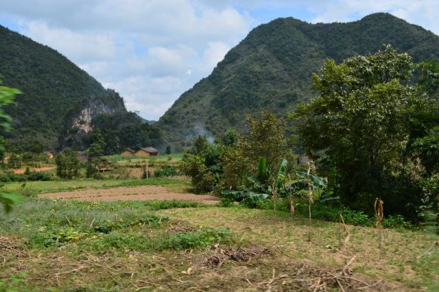 广南县董堡乡里标村