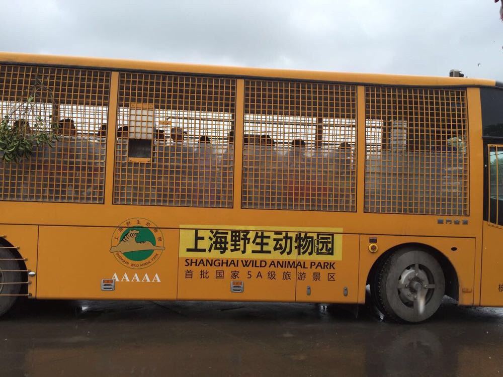 带着儿子去旅行--七宝老街,上海野生动物园,东方明珠,外滩,南京路