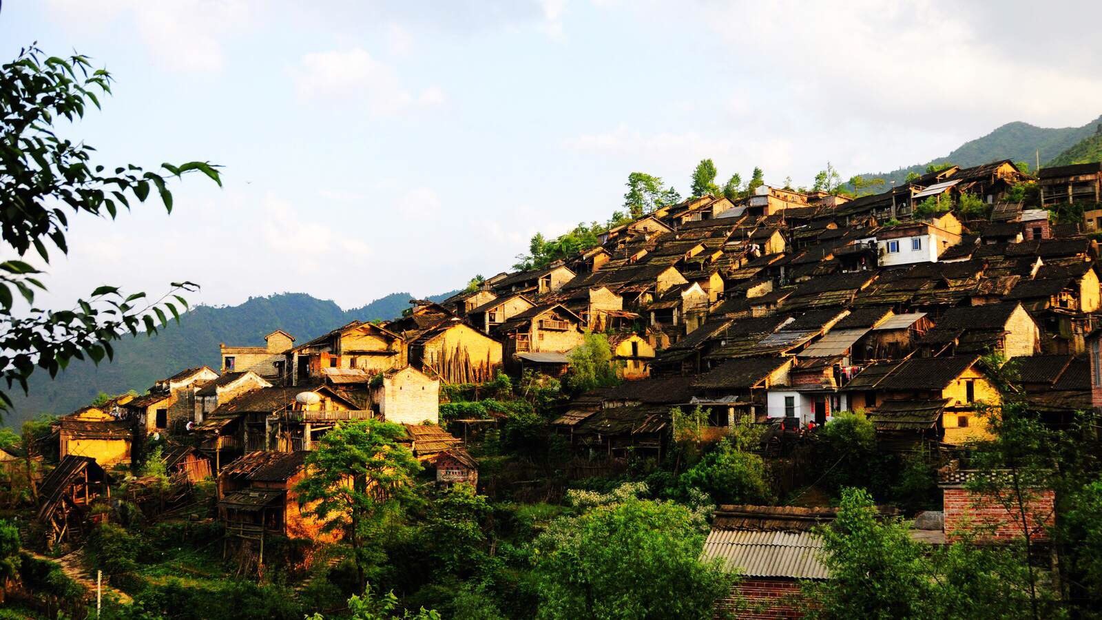 连南瑶族自治县三排镇油岭村