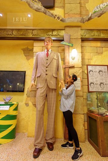 世界上最高的人.