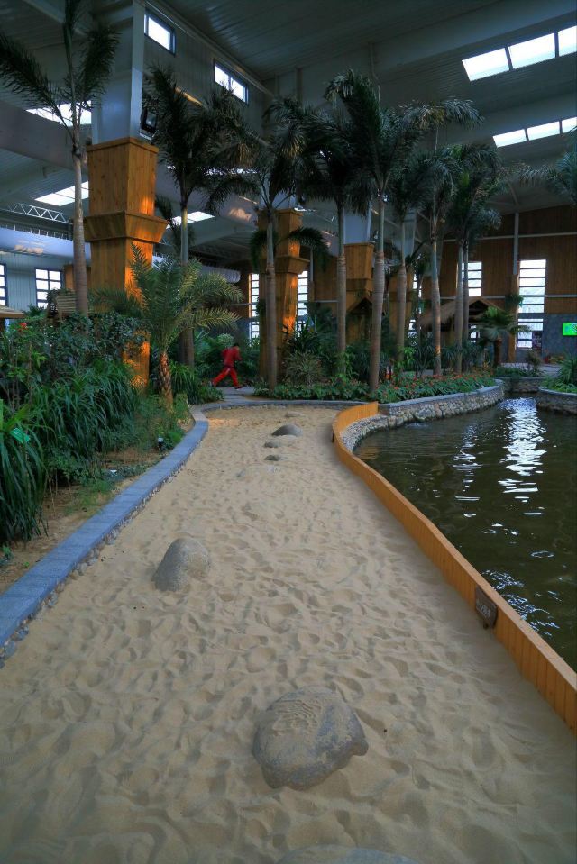 南宫五洲植物乐园—北京版热带雨林