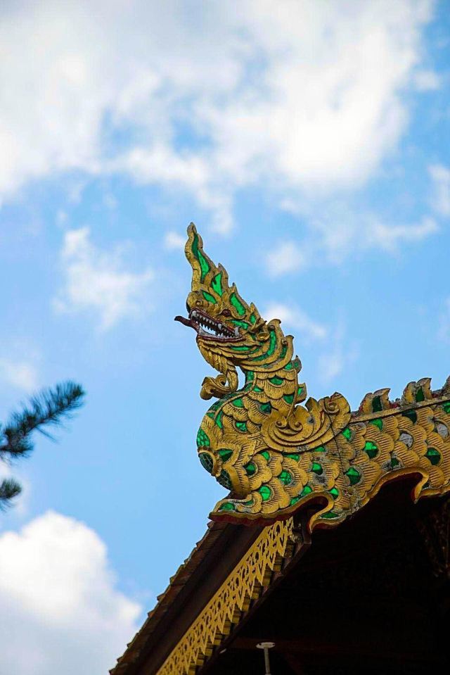 龙型的屋檐 双龙寺
