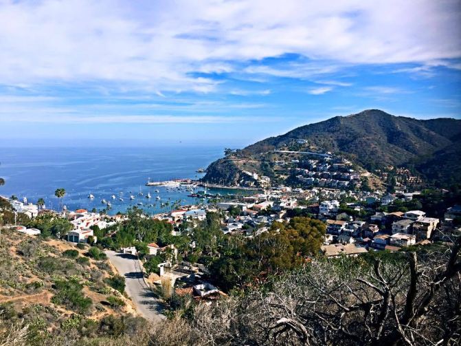 美国西海岸上人间仙境——圣卡塔利娜san catalina island