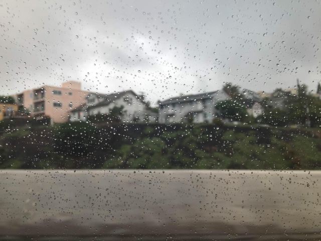清晨小雨