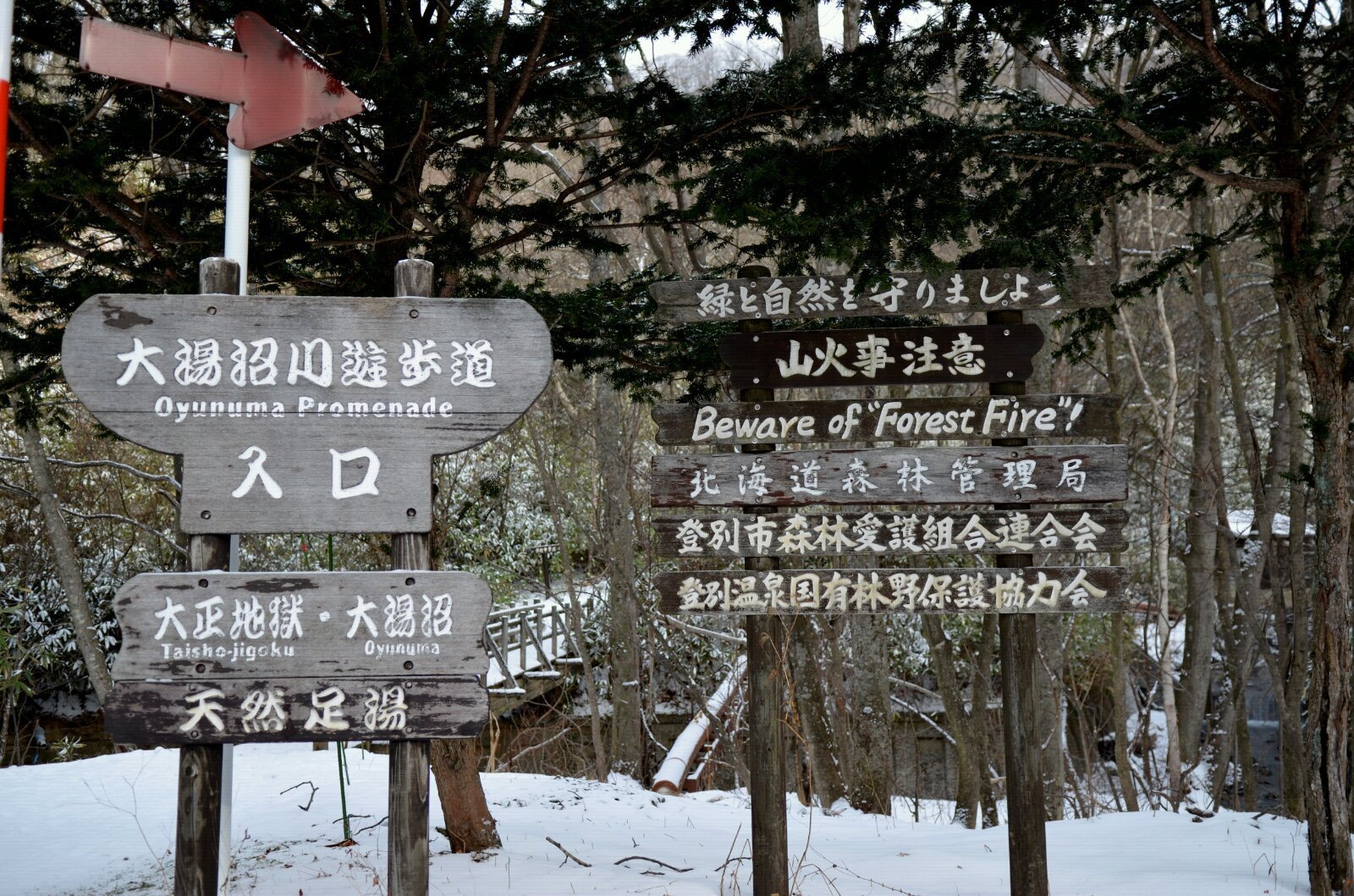 北海道の初雪 北海道雪景温泉11天自助游