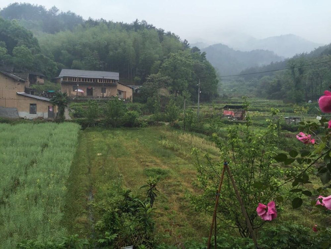 丽水、青岛高铁三日自由行-杭州景点攻略【携丽水出发四个自驾游游记攻略v景点图片