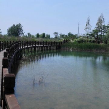 泗洪洪泽湖湿地公园_泗洪湿地公园门票收入