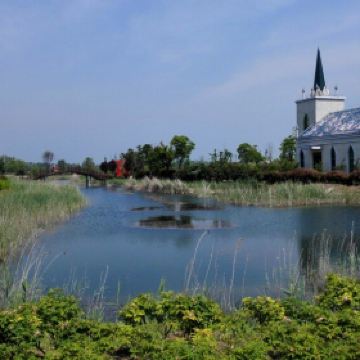 泗洪洪泽湖湿地公园_泗洪湿地公园门票收入(2)