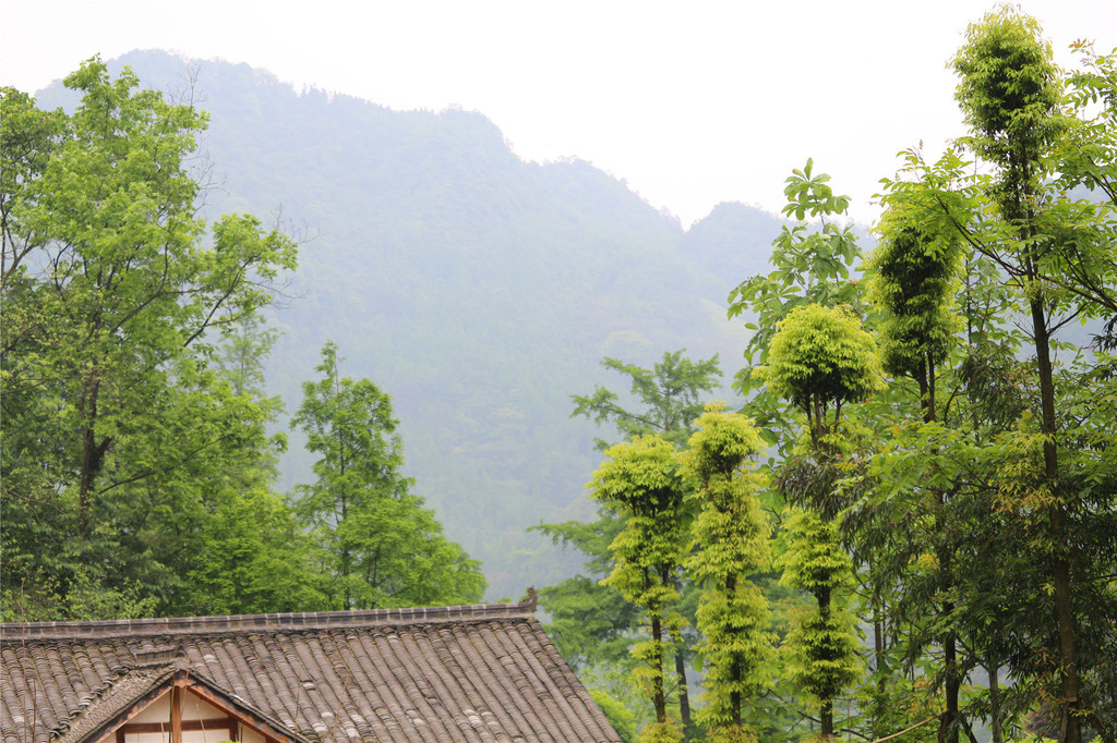 都江堰赵公山