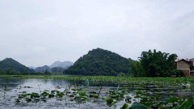 到达普者黑景区入住仙人洞村,村里各式各样的客栈非常多,说是客栈