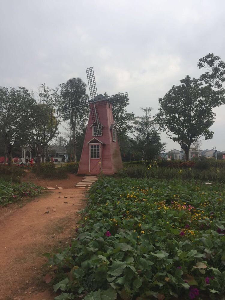 宋隆小镇一个环境优美的地方