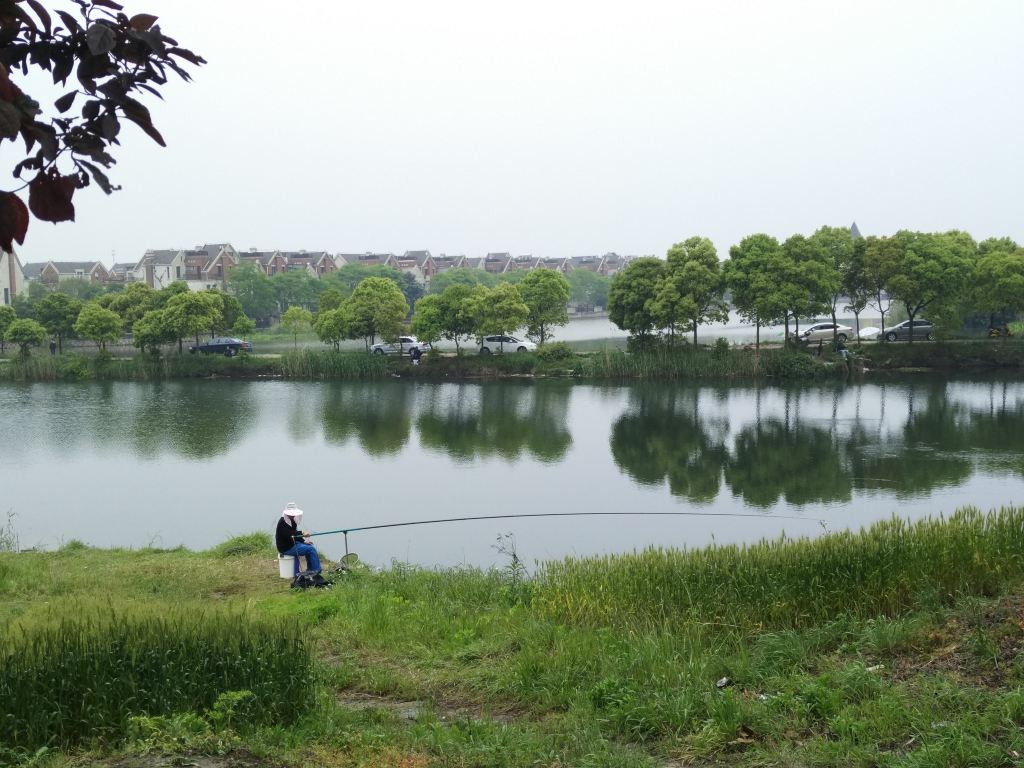 再次走进淀山湖