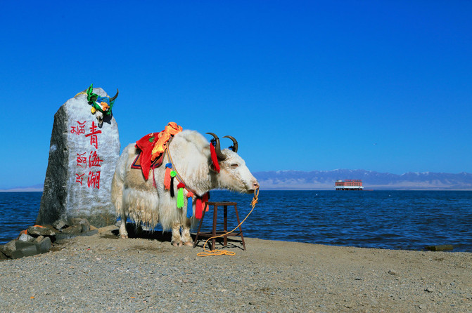 中国最美的湖-青海湖