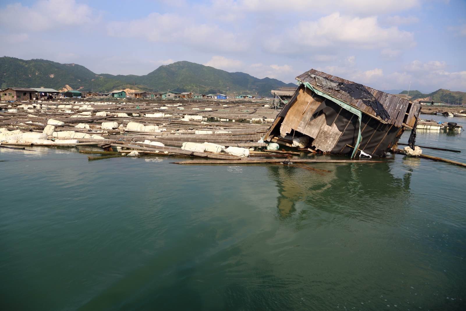 霞浦东安岛