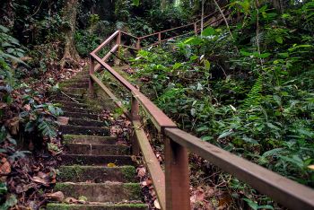 上海出发马来西亚斗湖4天徒步摄影自由行,游玩