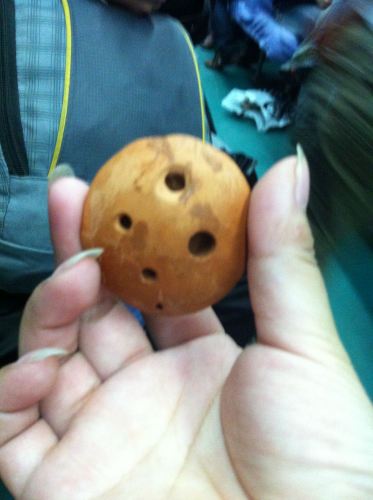 成都到昆明 大理 丽江 泸沽湖8日自由行 - 游记