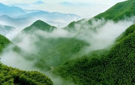 安吉天气预报,历史气温,旅游指数,安吉一周天气预报