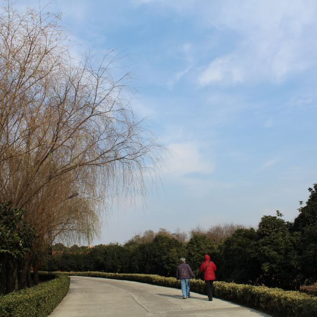 南京浦口汤泉一日游金钢别墅样板房图片