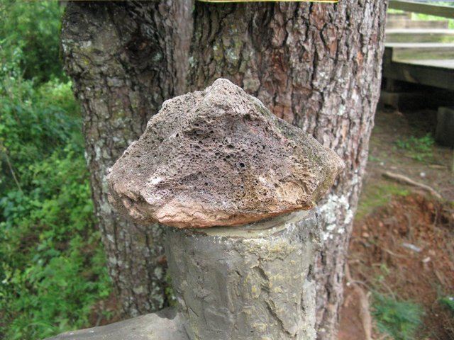 公园内有数级熔岩台地,主要有环火山口熔岩台地,环火山锥熔岩台地和