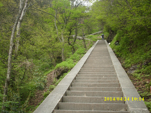 武当山 武汉 庐山 南京 自助游-武当山篇