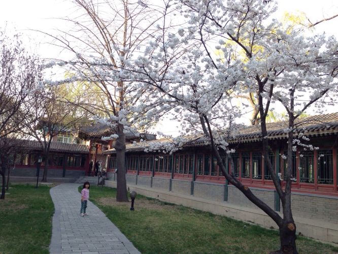 北京门头沟龙泉宾馆春游 - 北京游记攻略