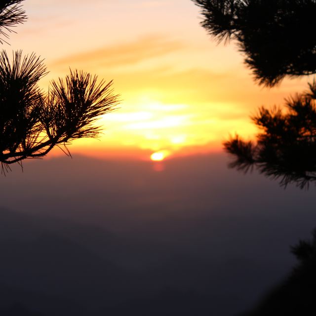 第2天2013-10-02南京-黄山三日游订单号:804305737产品攻略:黄山3日游戏爱丽丝之死三名称图片