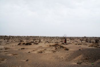 金秋9月北京出发额济纳5天摄影自驾自助游,经