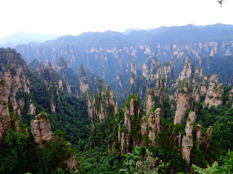 照片描述:天子山.西海峰林