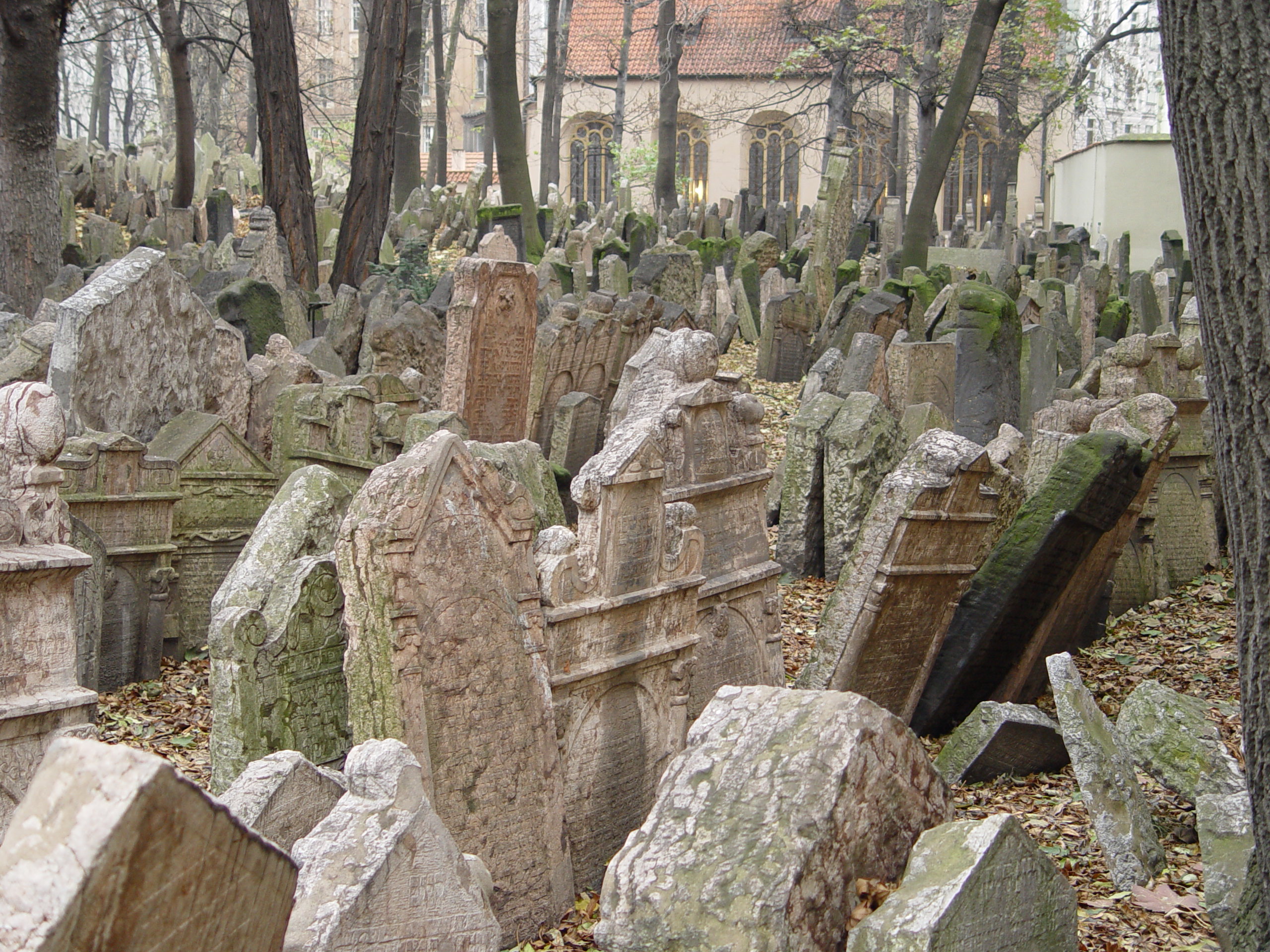 旧犹太墓园