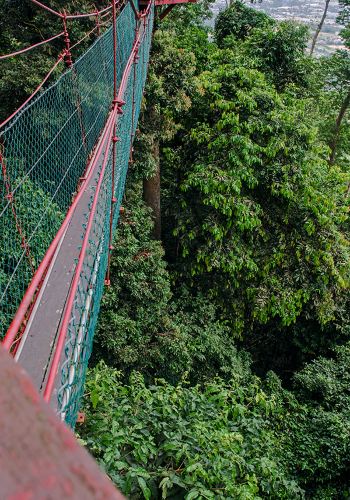 上海出发马来西亚斗湖4天徒步摄影自由行,游玩