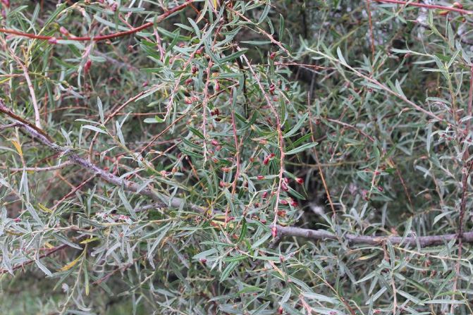 惊美青海游记 - 青海湖游记攻略