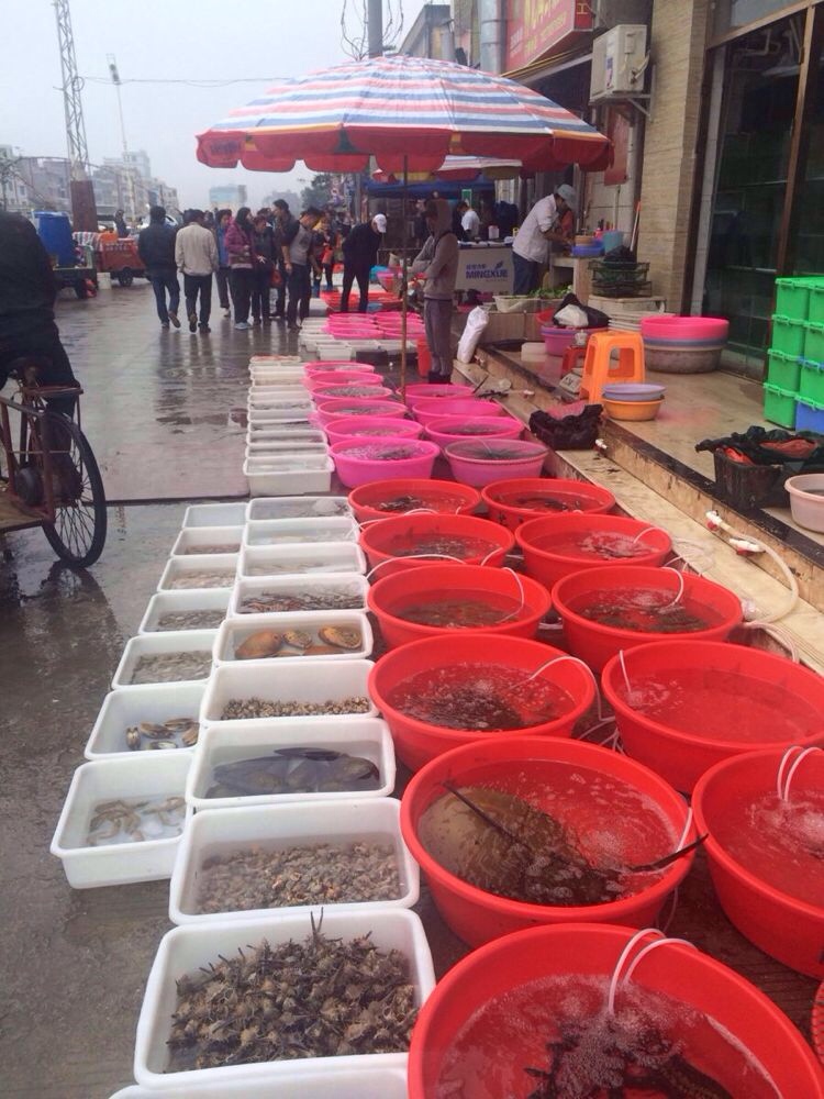 外沙海鲜岛