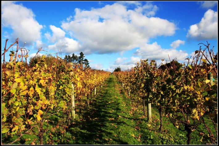 5月情侣新西兰9日跟团小资摄影自由行,玩遍天