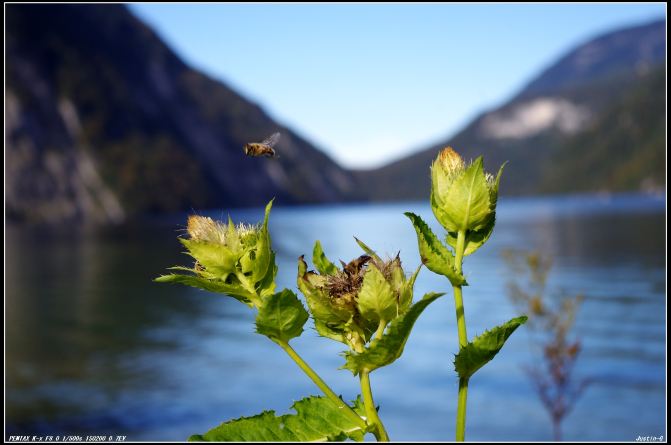 德国国王湖、瑞士之旅1 - 德国游记攻略