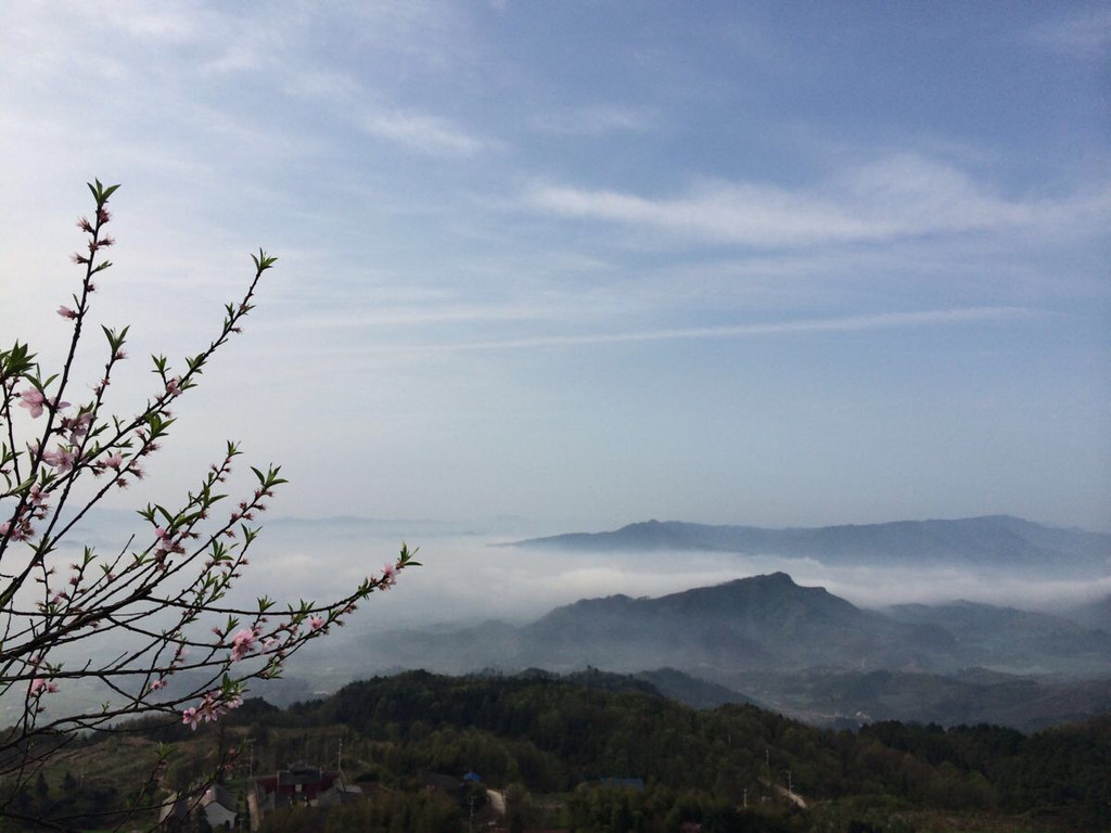 靖州飞山