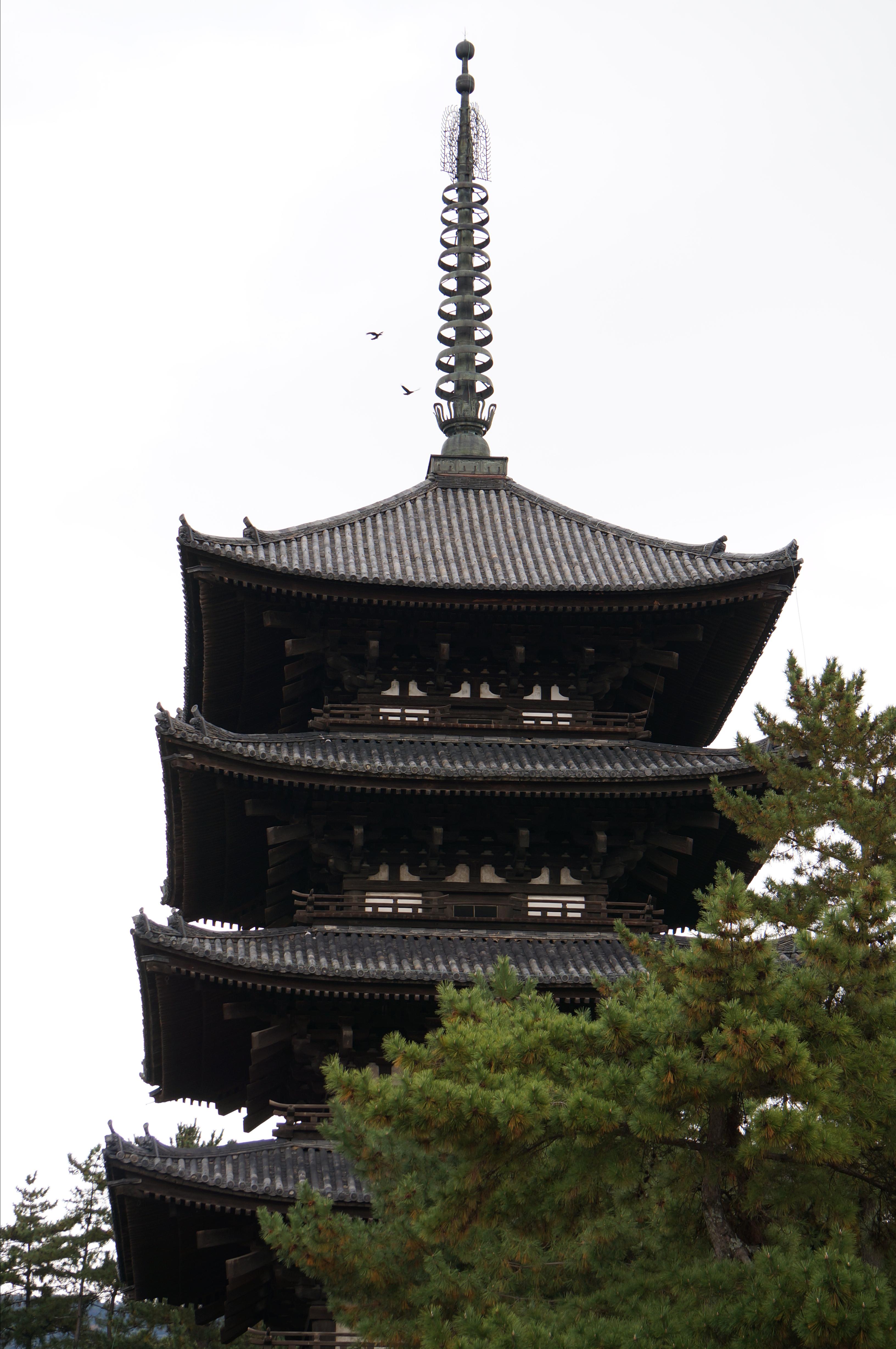 兴福寺五重塔 兴福寺