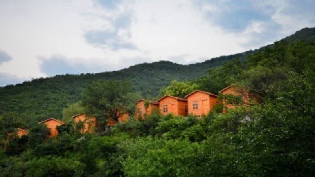 大鸿寨风景区门票,禹州大鸿寨风景区攻略/地址/图片/门票价格【携程