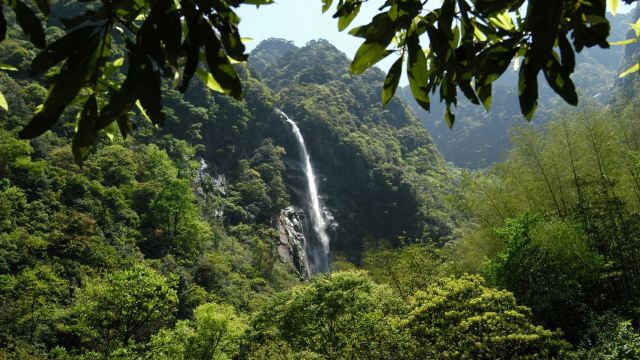明月山景点第10名