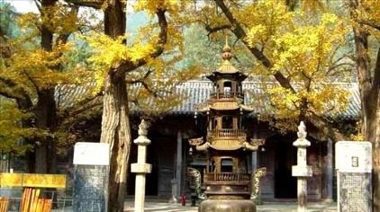 禅林寺古银杏风景园