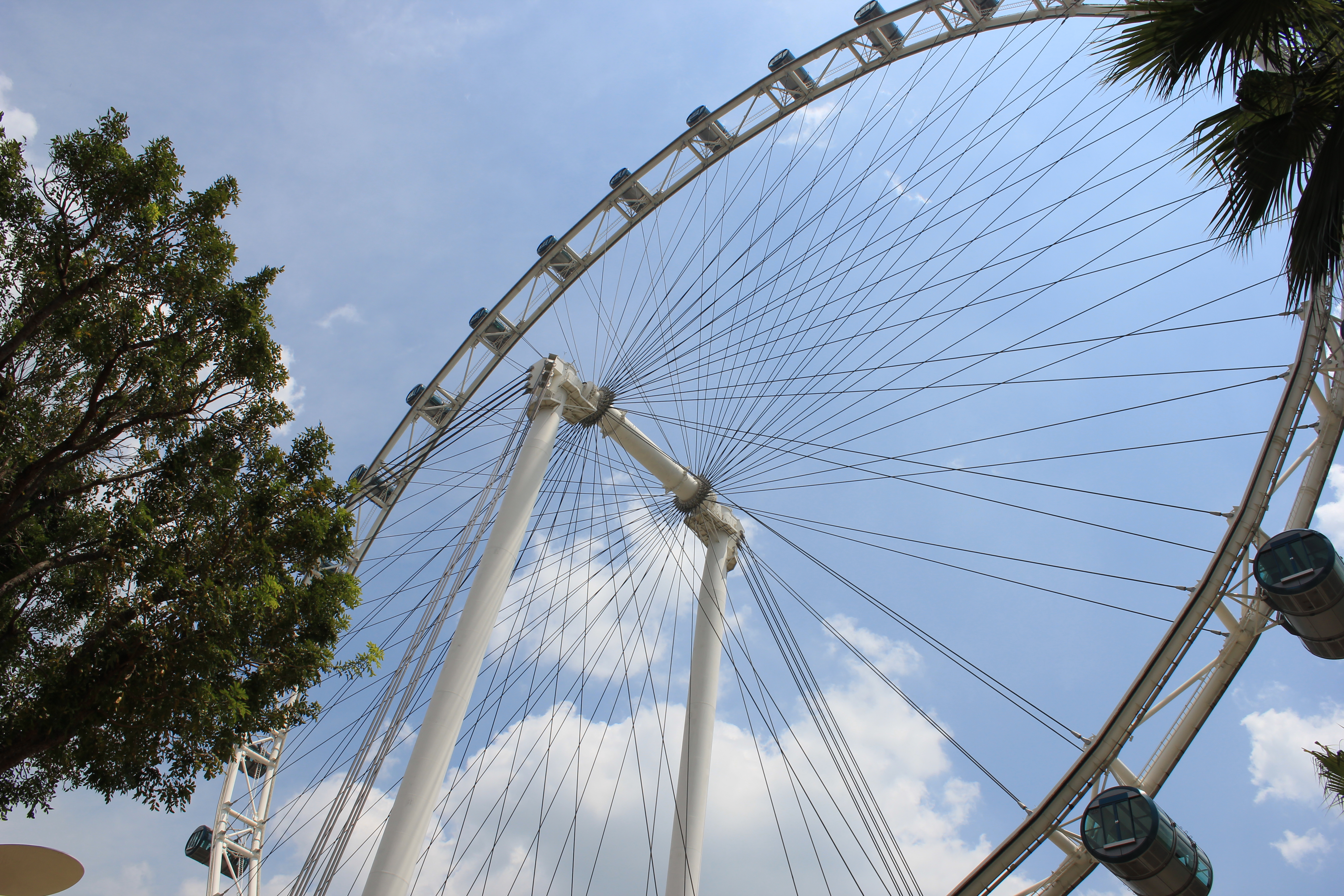 新加坡摩天观景轮 摩天轮下来后就在下面的新加坡路边摊吃中饭.