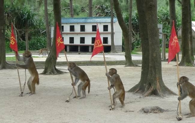 轻松自在上川岛旅游攻略-可上下川岛联游攻略