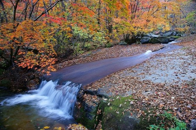 大手牵小手 一起趴趴走--亲子旅游大攻略 - 台中